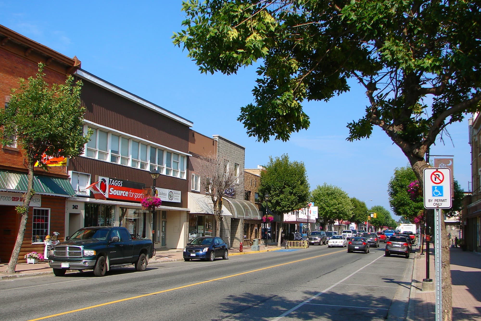 SEO services for businesses in Fort Frances, Ontario