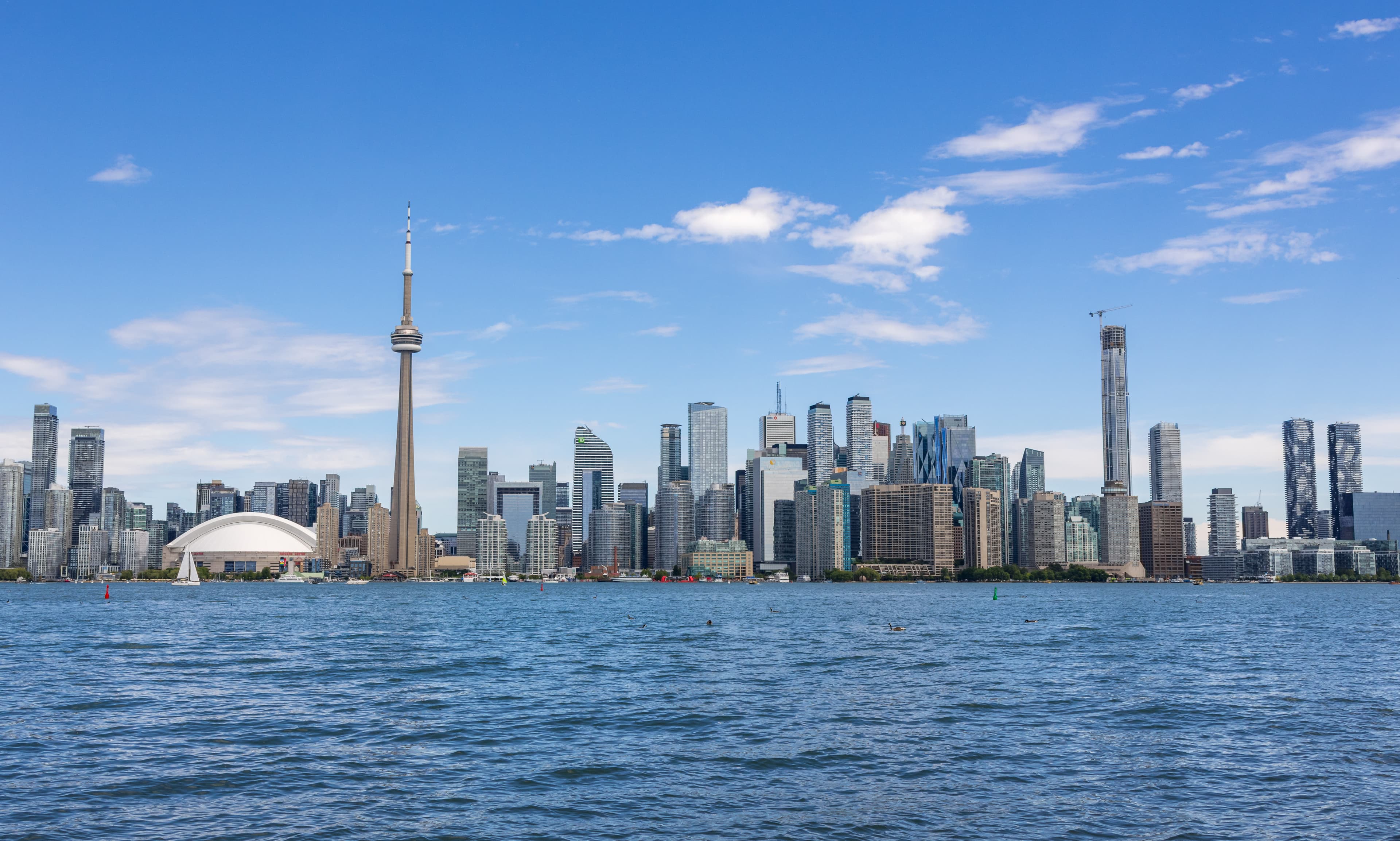 SEO services for businesses in Toronto, Ontario
